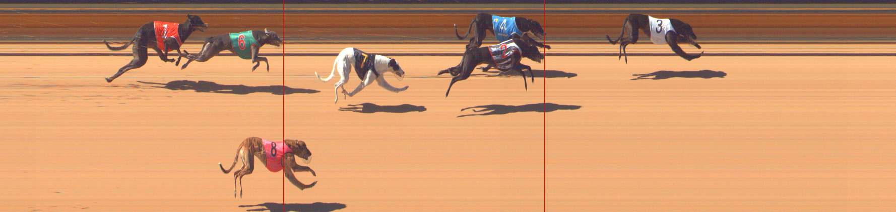 Photo finish for Bendigo Race 12
