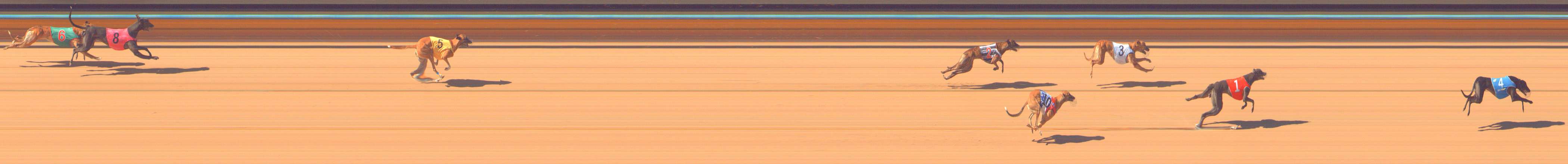 Photo finish for Bendigo Race 2