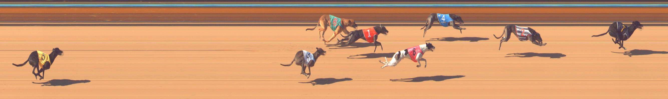 Photo finish for Bendigo Race 3