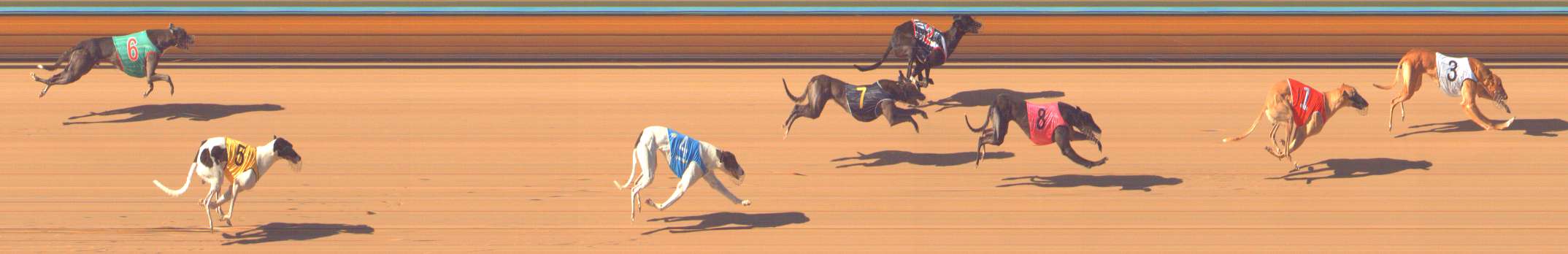 Photo finish for Bendigo Race 4