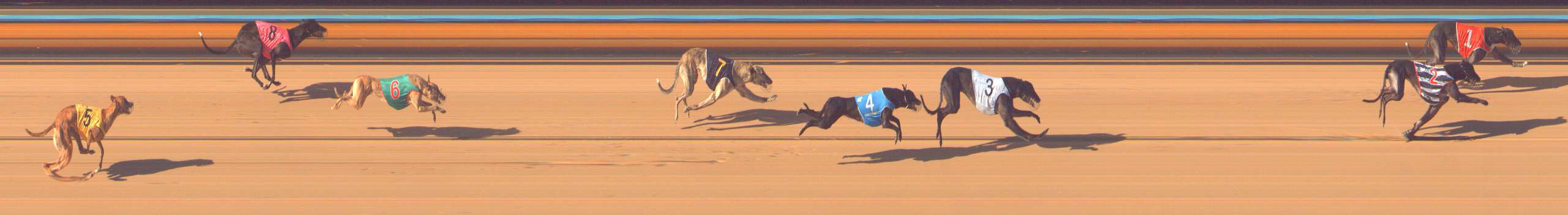 Photo finish for Bendigo Race 5