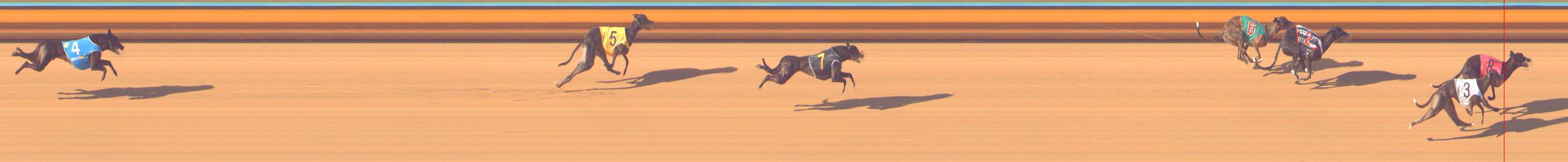 Photo finish for Bendigo Race 6