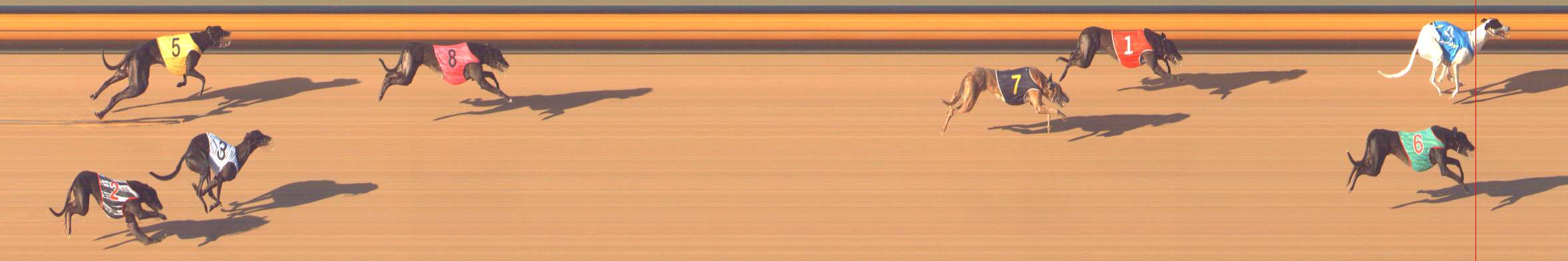 Photo finish for Bendigo Race 7