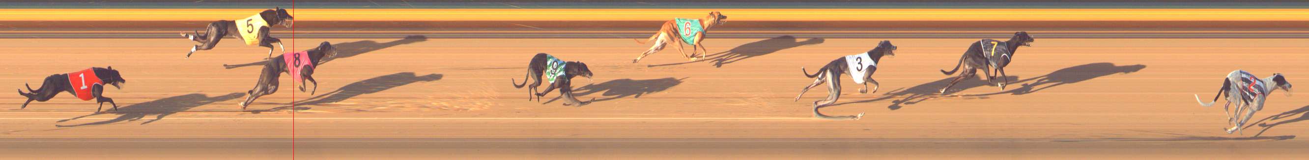 Photo finish for Bendigo Race 8
