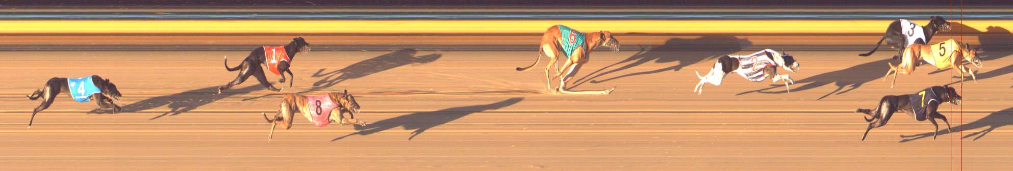 Photo finish for Bendigo Race 9