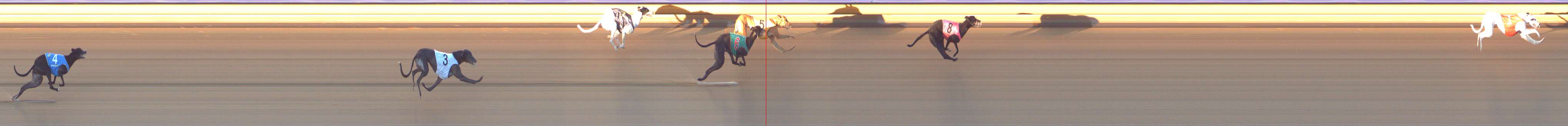 Photo finish for Bendigo Race 10