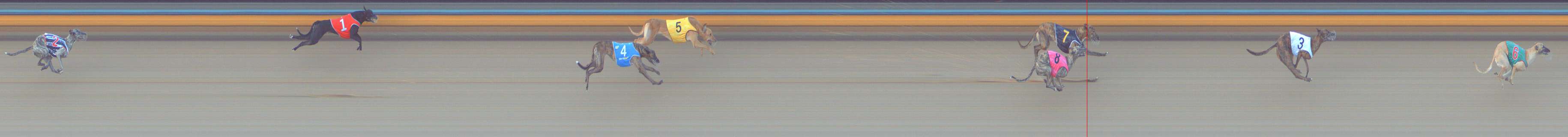 Photo finish for Bendigo Race 11