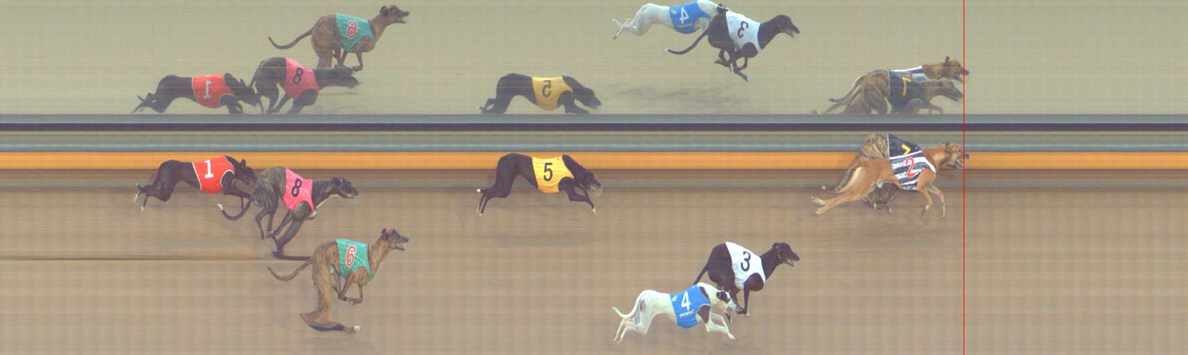 Photo finish for Bendigo Race 12