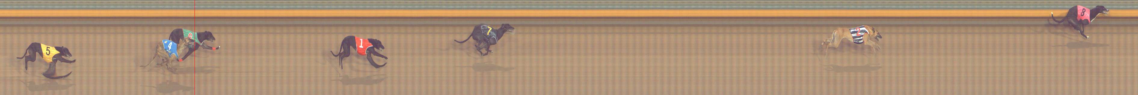 Photo finish for Bendigo Race 13