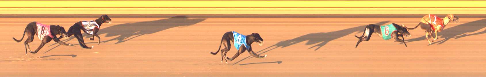 Photo finish for Bendigo Race 1