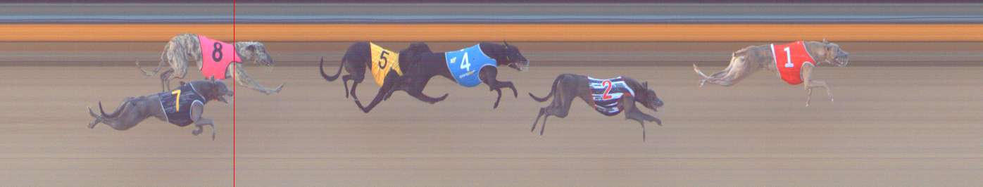 Photo finish for Bendigo Race 2
