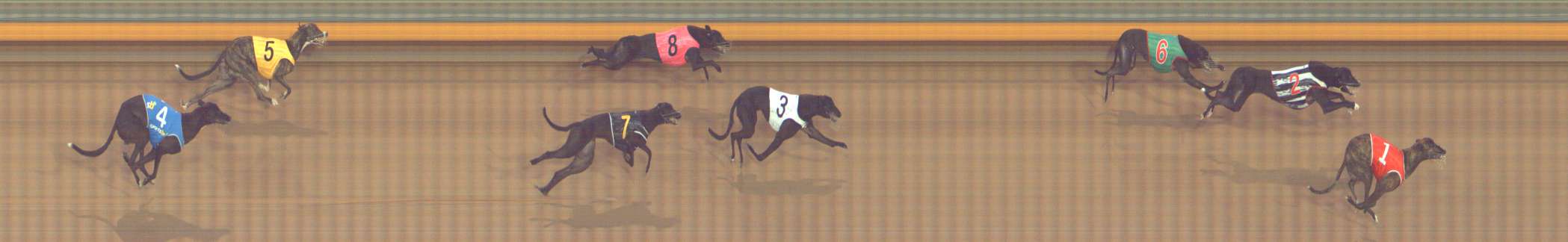 Photo finish for Bendigo Race 4