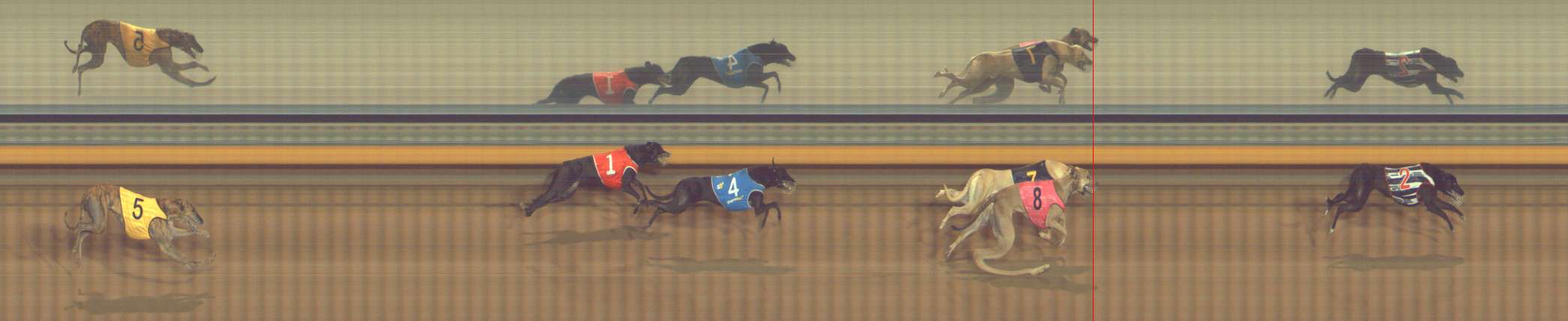 Photo finish for Bendigo Race 5