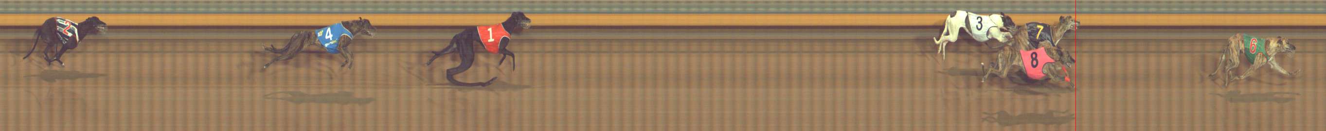 Photo finish for Bendigo Race 6