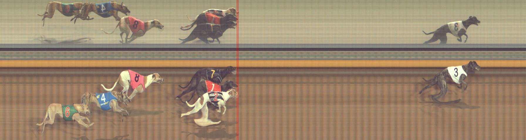 Photo finish for Bendigo Race 8