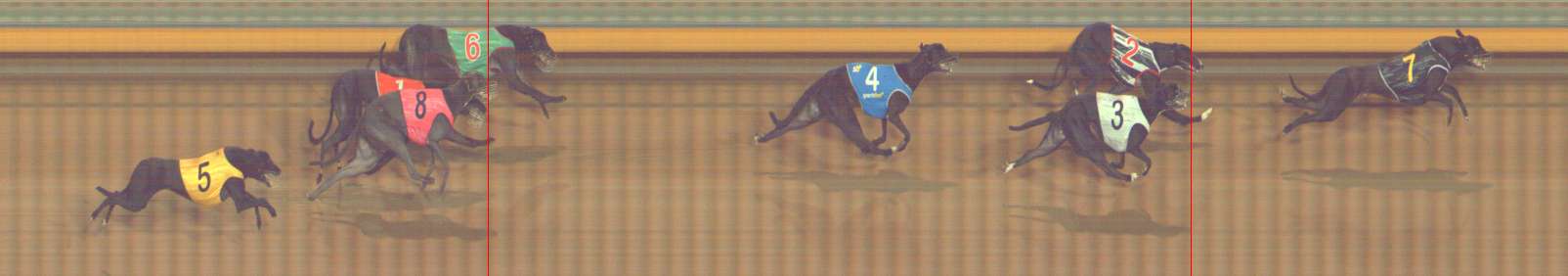 Photo finish for Bendigo Race 10