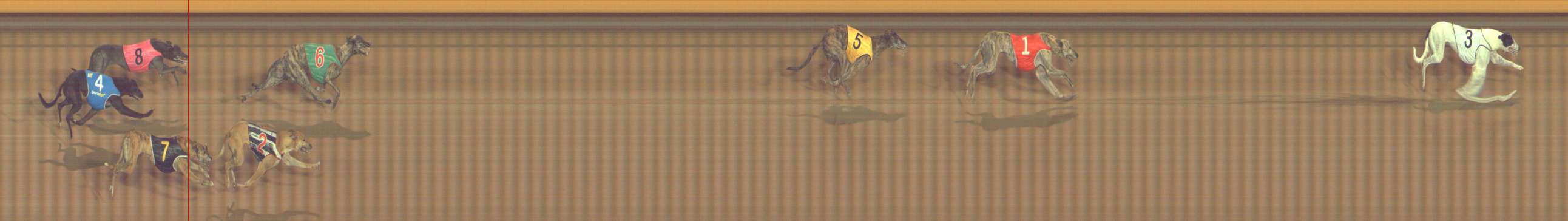 Photo finish for Bendigo Race 11