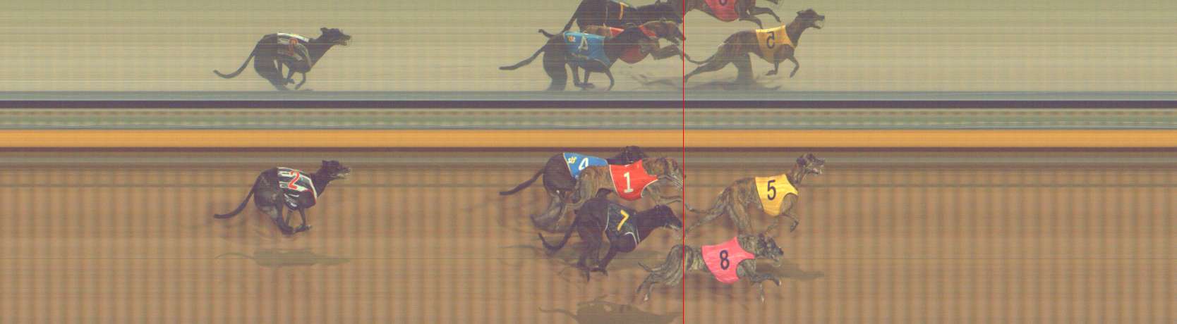 Photo finish for Bendigo Race 12