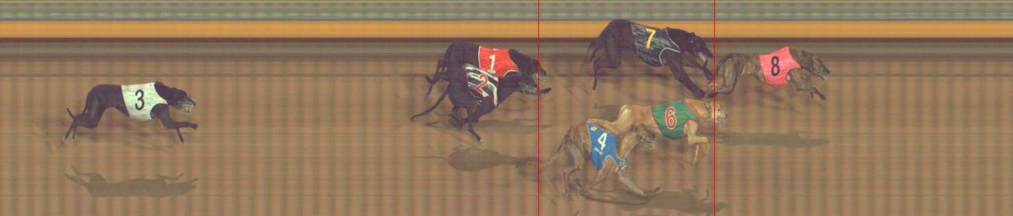 Photo finish for Bendigo Race 13