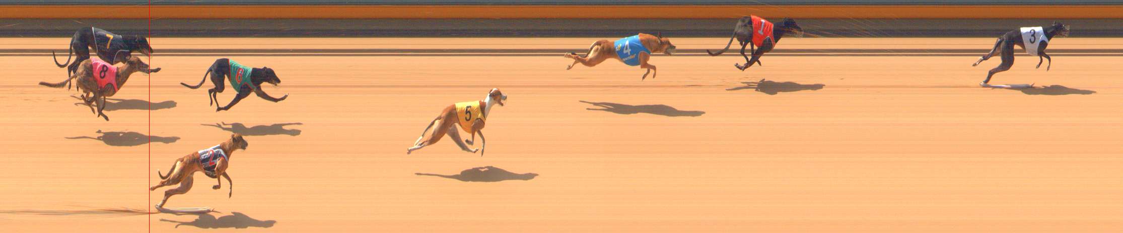 Photo finish for Bendigo Race 1
