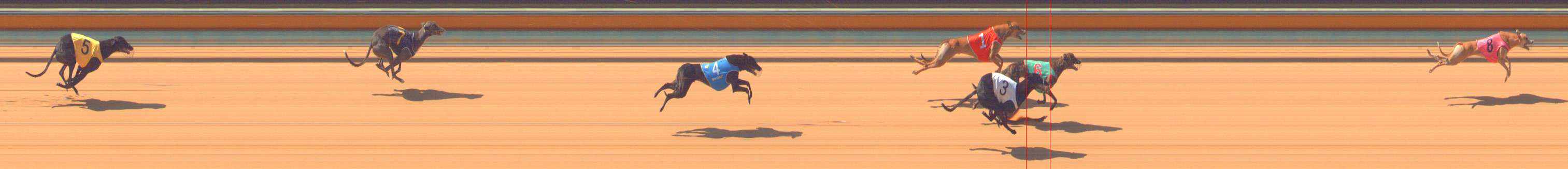 Photo finish for Bendigo Race 3