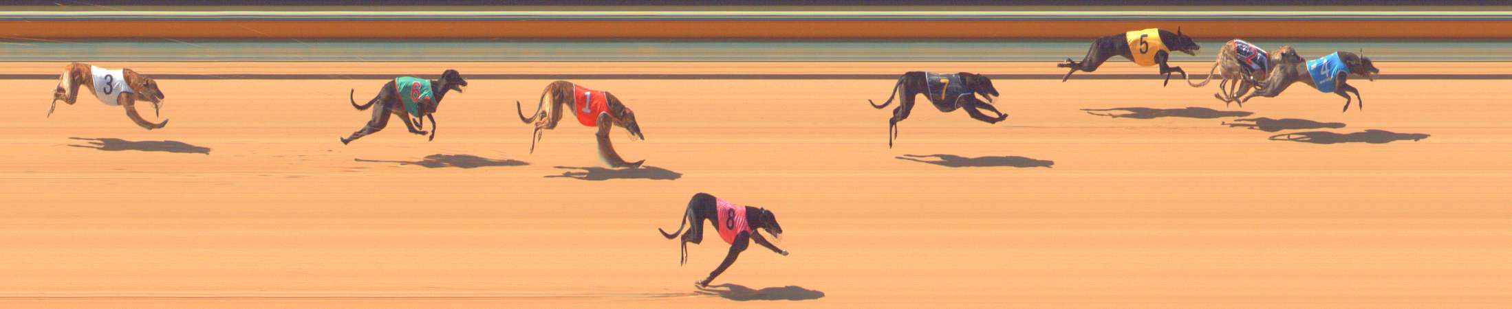 Photo finish for Bendigo Race 5