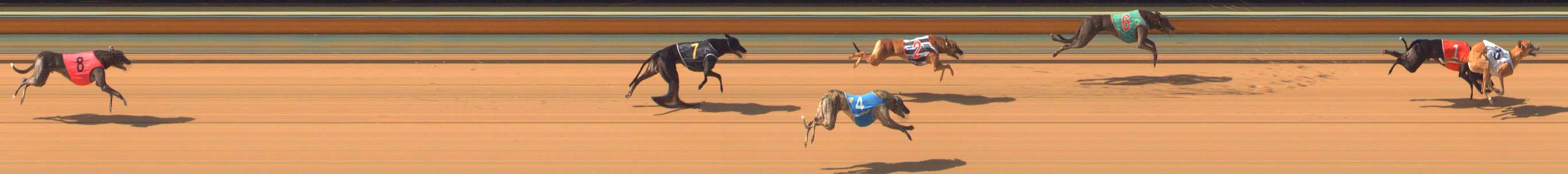 Photo finish for Bendigo Race 7