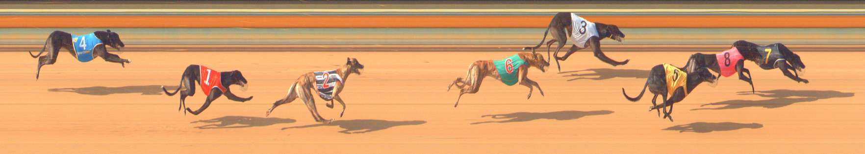 Photo finish for Bendigo Race 8