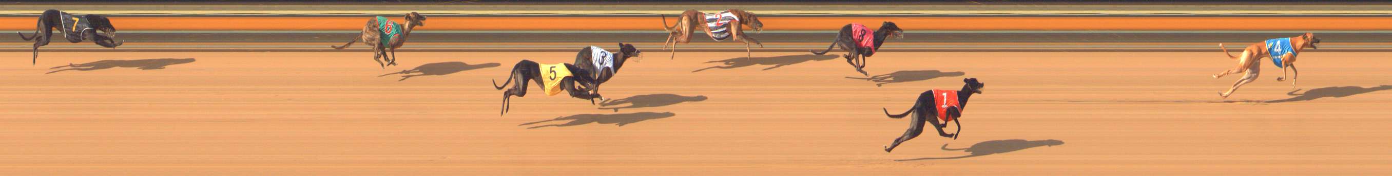 Photo finish for Bendigo Race 10