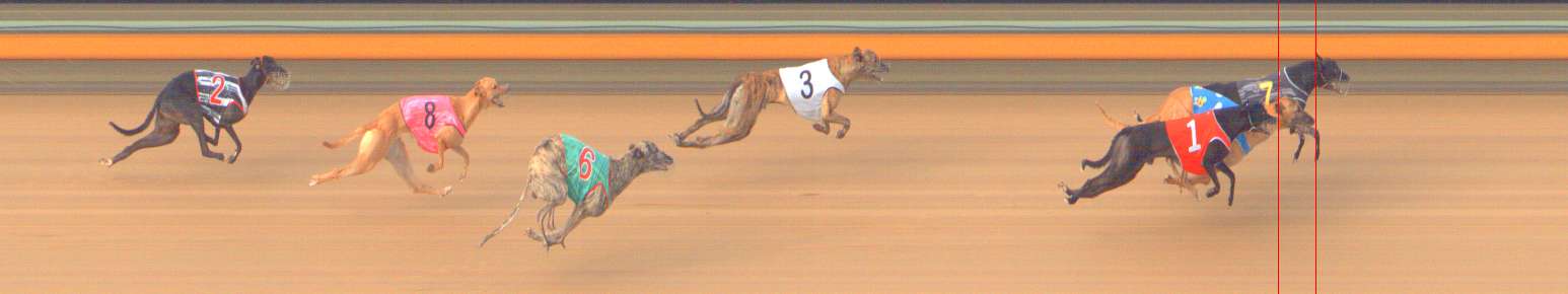 Photo finish for Bendigo Race 12