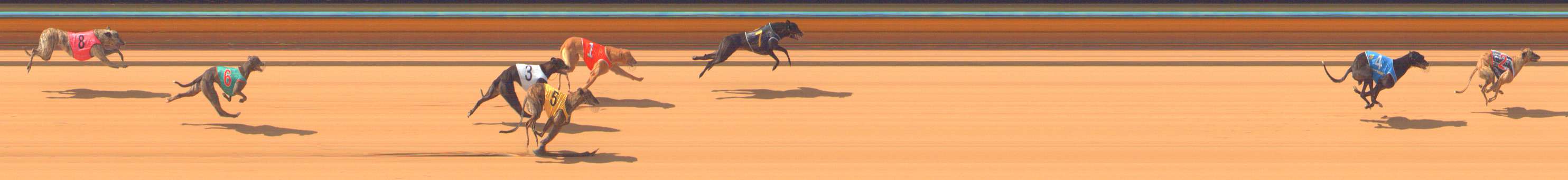 Photo finish for Bendigo Race 1
