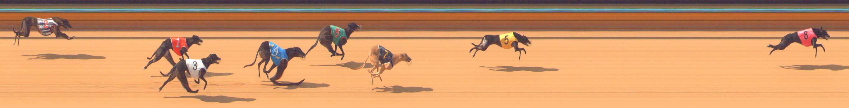 Photo finish for Bendigo Race 2