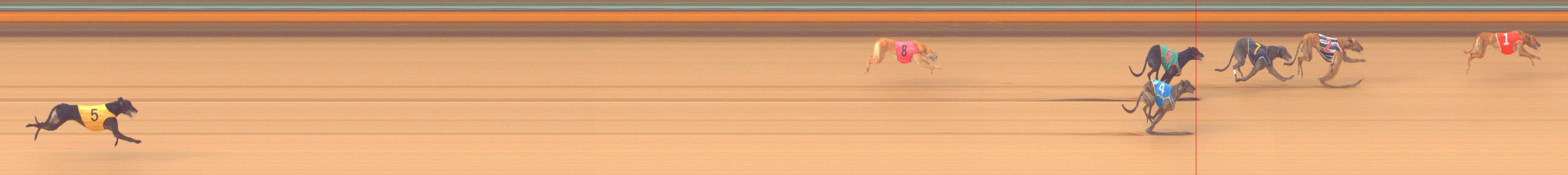 Photo finish for Bendigo Race 5