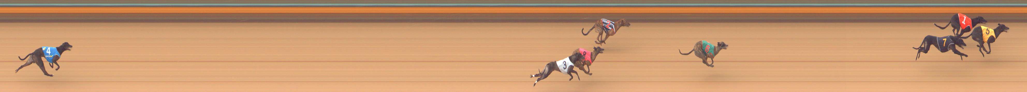 Photo finish for Bendigo Race 6