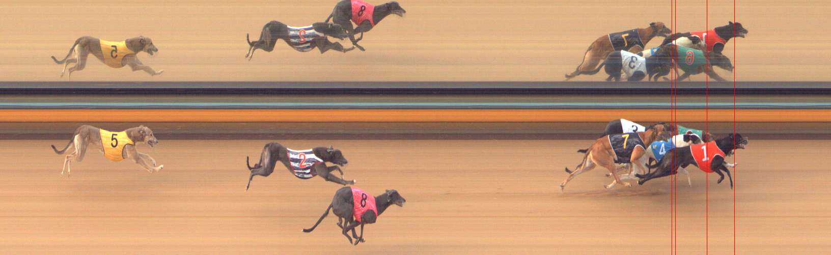Photo finish for Bendigo Race 7