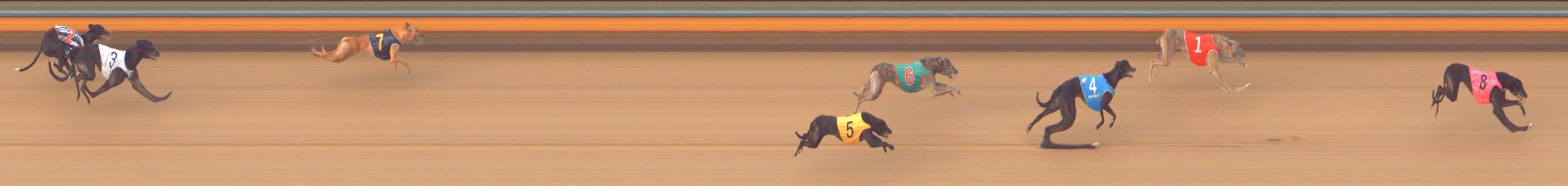 Photo finish for Bendigo Race 9
