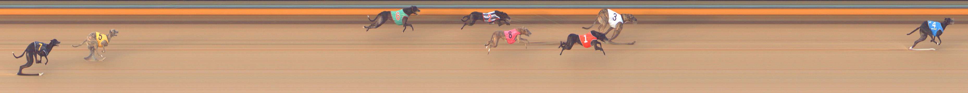 Photo finish for Bendigo Race 10
