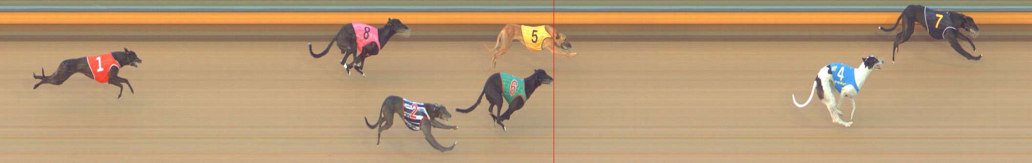 Photo finish for Bendigo Race 11