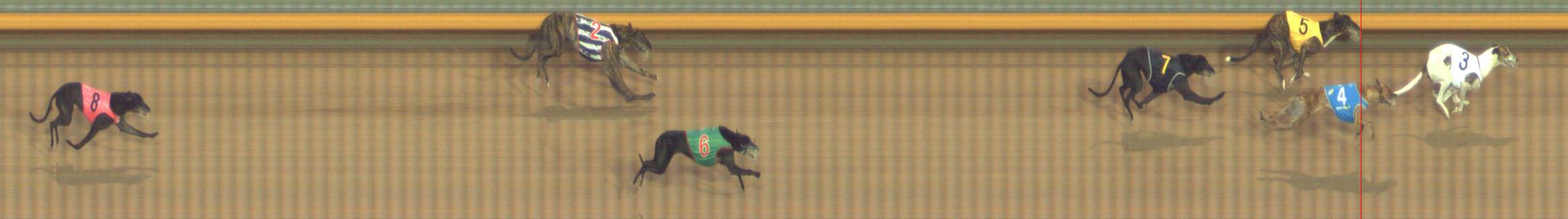 Photo finish for Bendigo Race 13