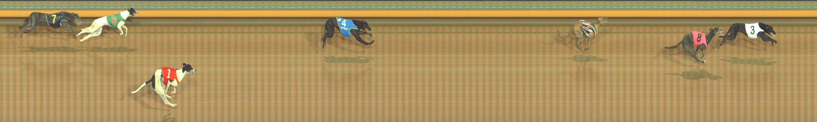 Photo finish for Bendigo Race 4
