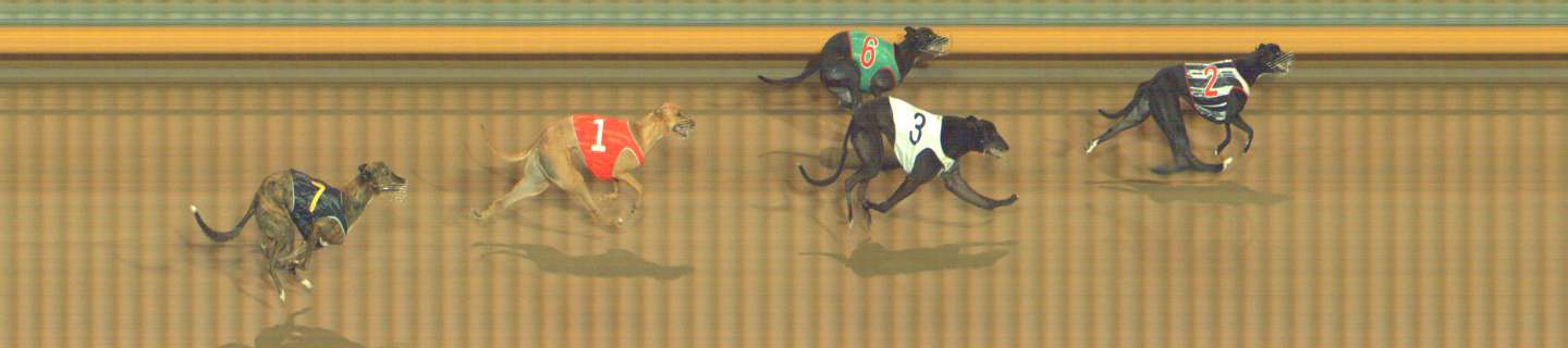 Photo finish for Bendigo Race 5