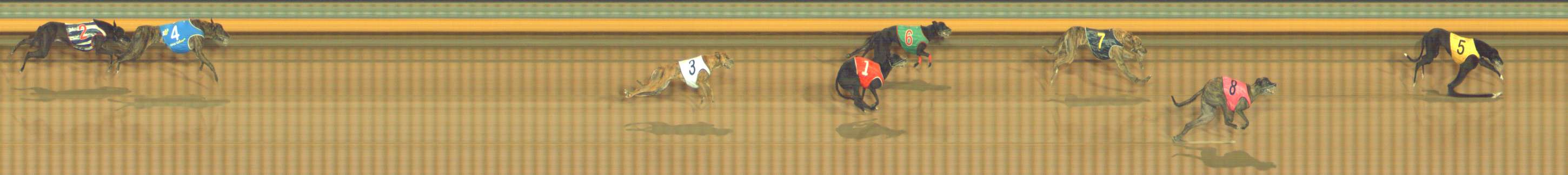 Photo finish for Bendigo Race 6
