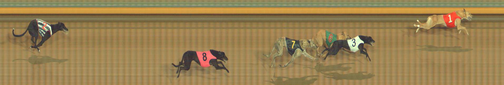 Photo finish for Bendigo Race 7