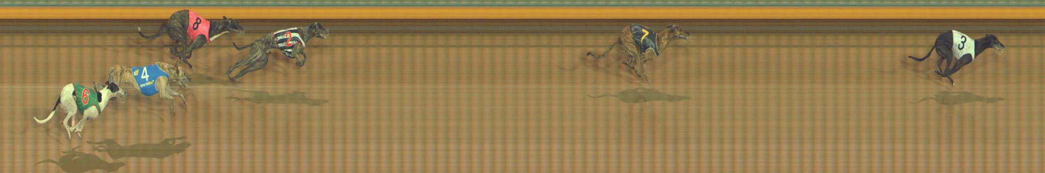 Photo finish for Bendigo Race 8