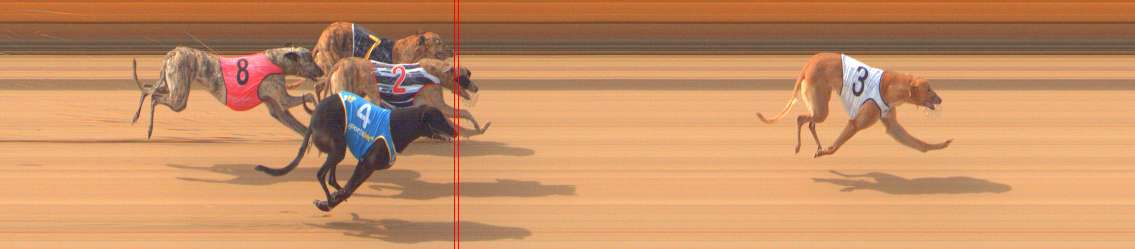 Photo finish for Bendigo Race 1