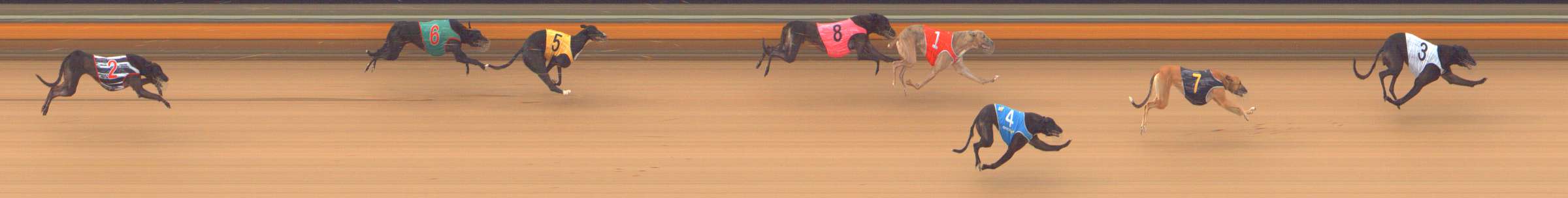 Photo finish for Bendigo Race 3