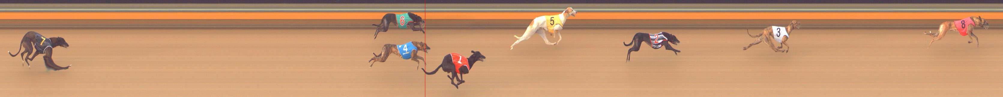 Photo finish for Bendigo Race 9
