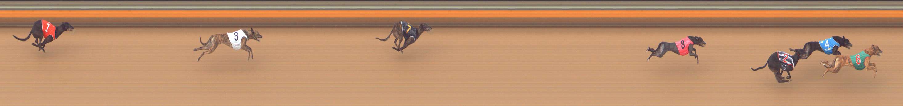 Photo finish for Bendigo Race 10