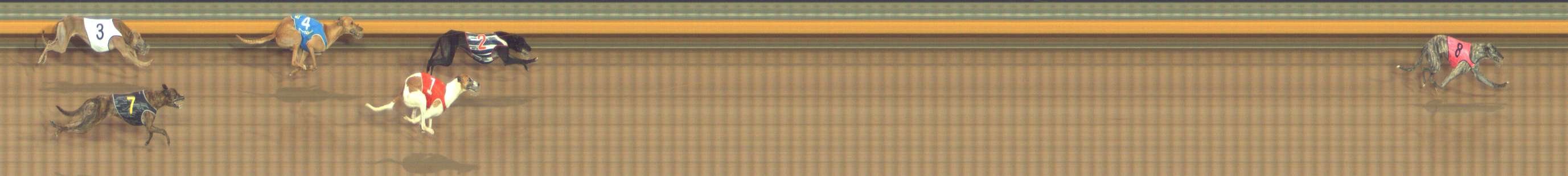 Photo finish for Bendigo Race 12