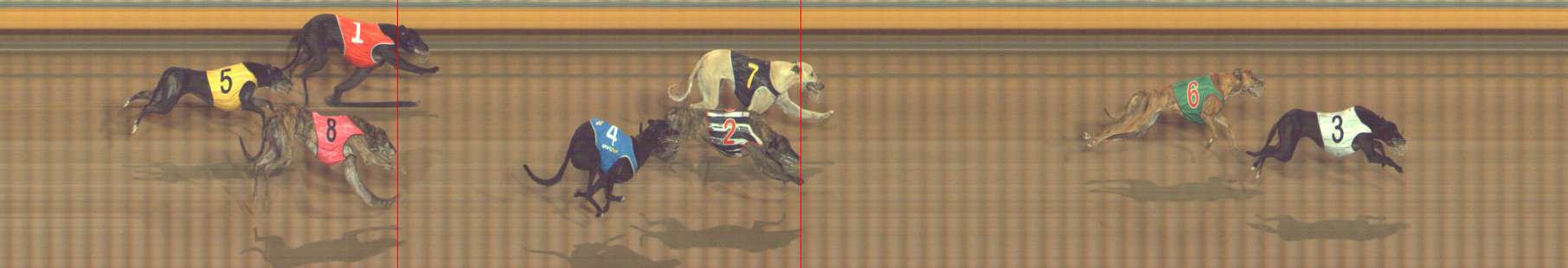 Photo finish for Bendigo Race 13
